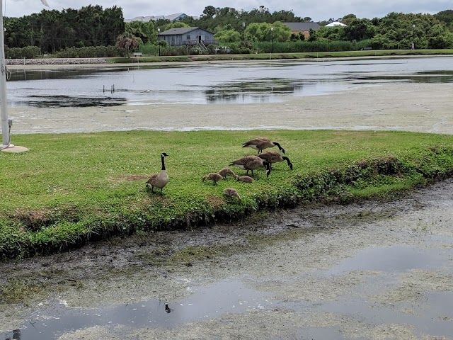 Carolina Beach Lake Park